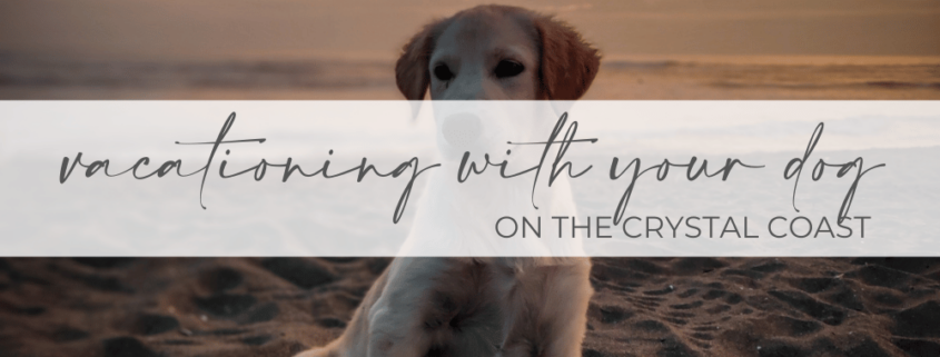 plan a vacation with your dog on the crystal coast, plan a vacation with your dog on emerald isle. plan a vacation with your dog on atlantic beach nc