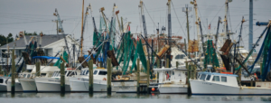 Beaufort NC Waterfront