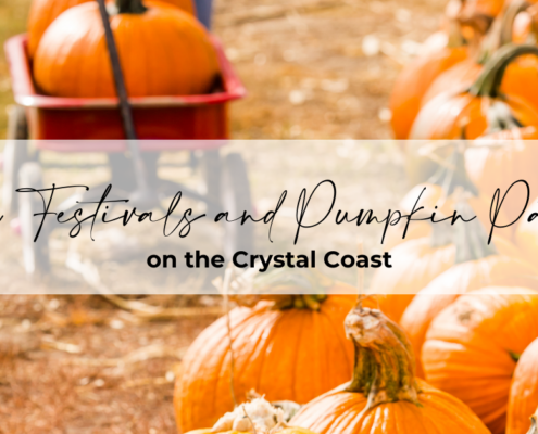 Fall Festivals and Pumpkin Patches on the Crystal Coast